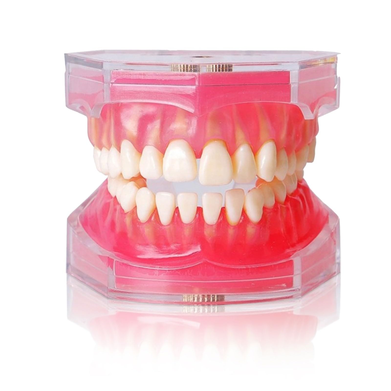 Strumento modello di impianto dentale con denti in resina rimovibili e gomma morbida per chirurghi orali e studenti di odontoiatria