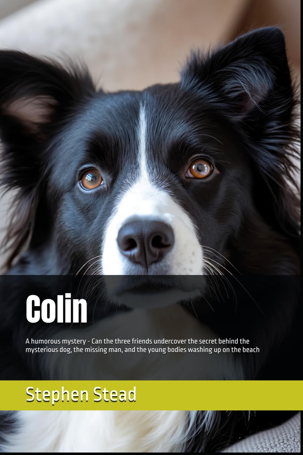 Colin: A humorous mystery - Can the three friends undercover the secret behind the mysterious dog, the missing man, and the young bodies washing up on the beach