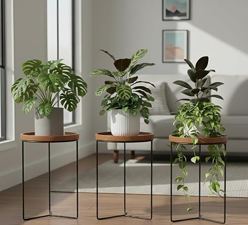 Miniatura 9 de Soportes Metálicos para Plantas de Interior con Superficies de Madera, Sostiene Macetas de hasta 12" de Diámetro, Capacidad de 120 lb Cada Uno -