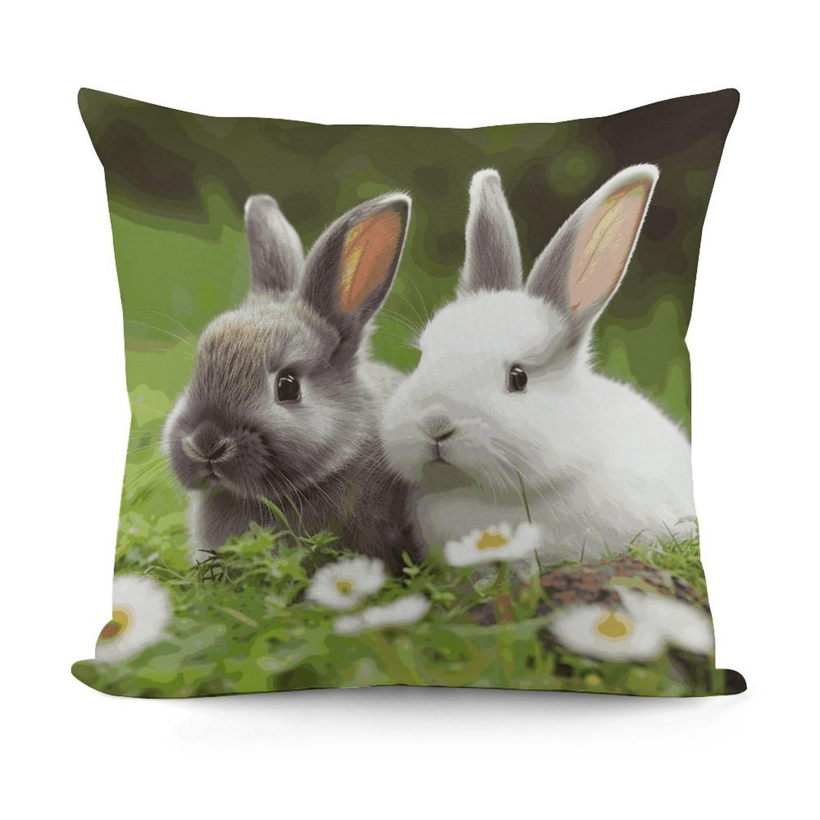 VstaDank Decorative Two Little Cute Rabbits Throw Pillow Covers Luxury Soft Pillowcases Fluffy Plush Accent Pillow Cases Personalized Square Lumbar Pillows Shells for All Seasons 18" X 18"