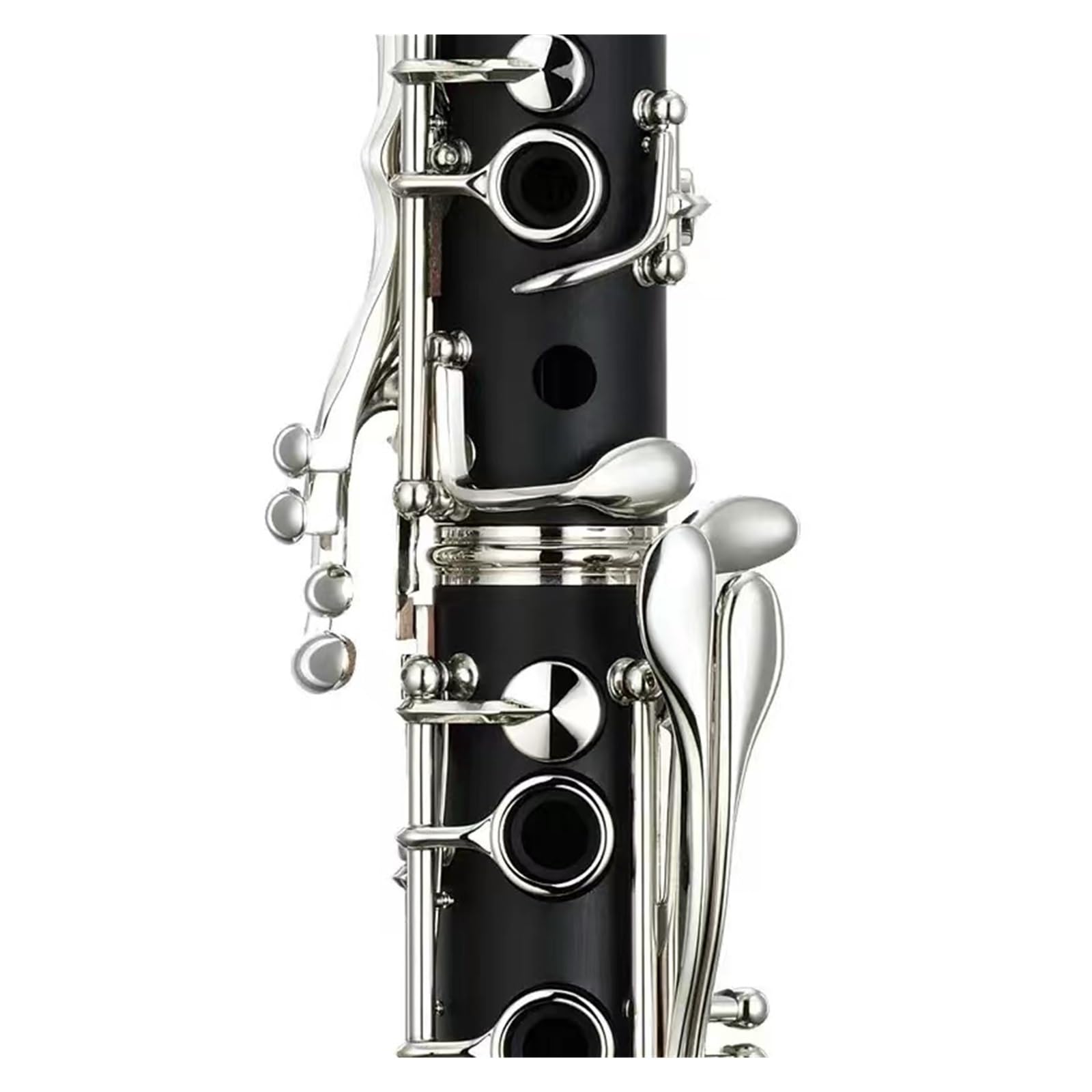 Clarinetto per Principianti Esame di Ammissione al Clarinetto per Suonatori di Strumenti Musicali Professionisti