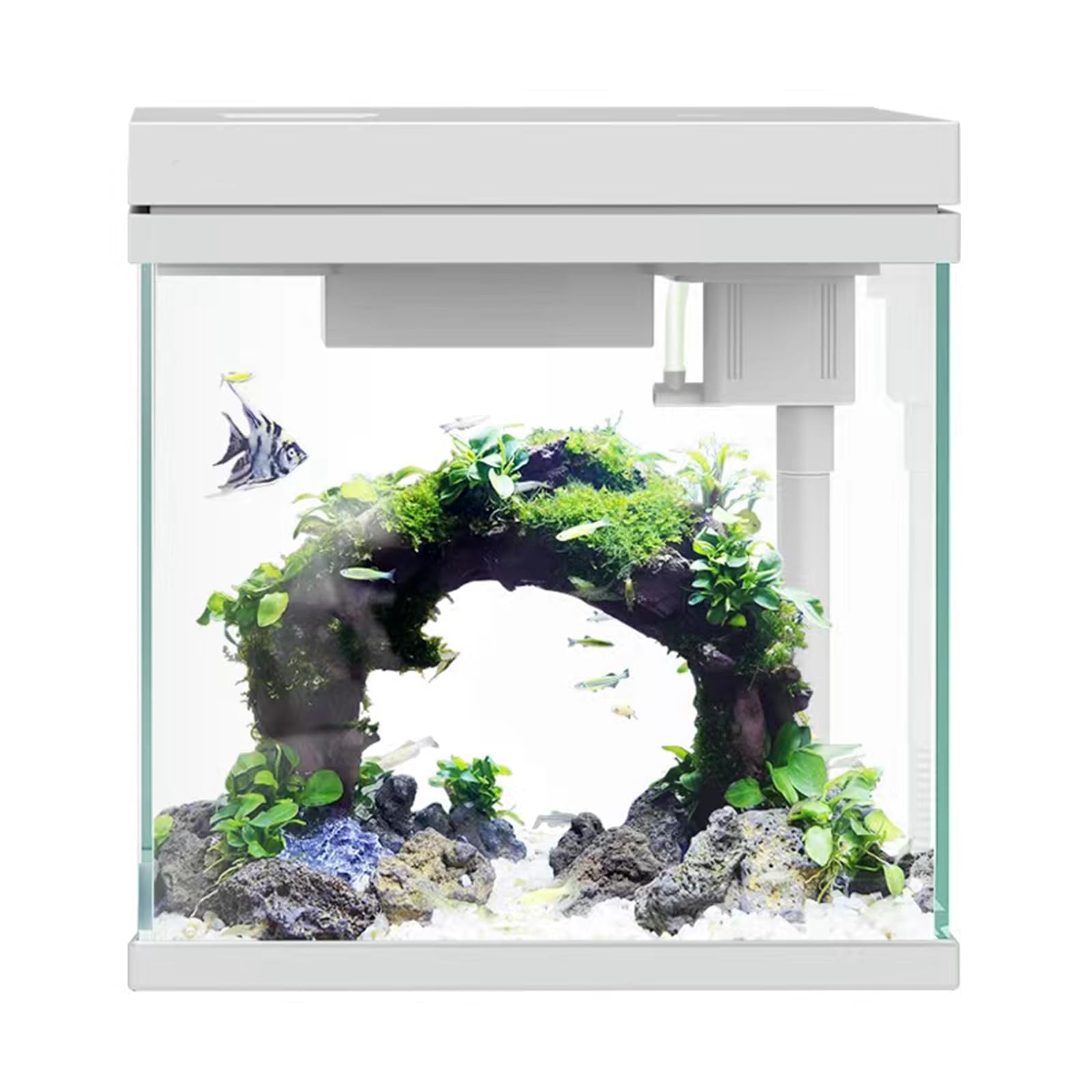 7.5L Small Aquarium Fish Tank, Compact Eco Aquarium, Glass Aquarium, Desktop Fish Tank, Tropical Fish Tank with lighting, filtration, waving and aeration-2 Gallons