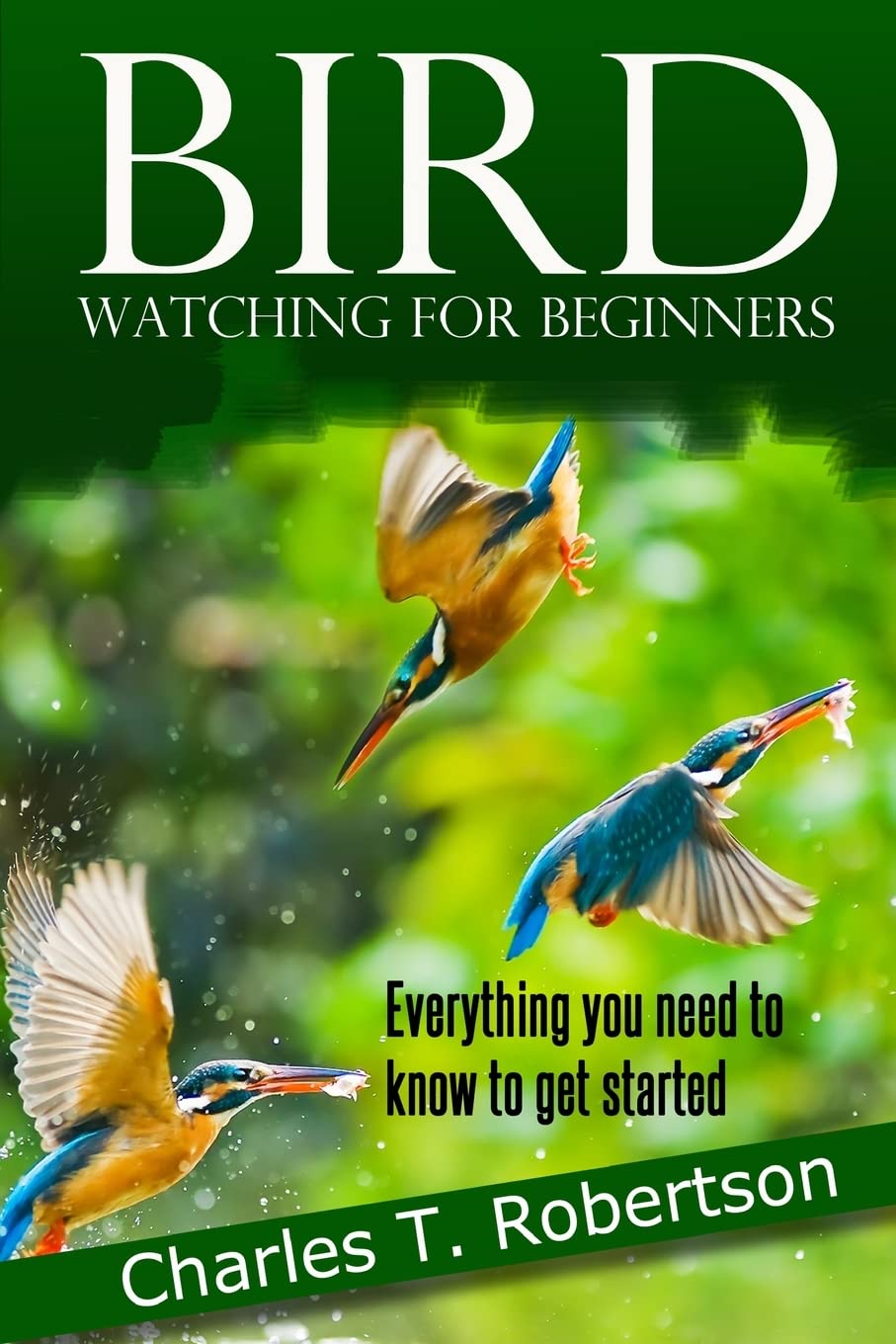 Bird Watching for Beginners: Everything you need to know to get started.