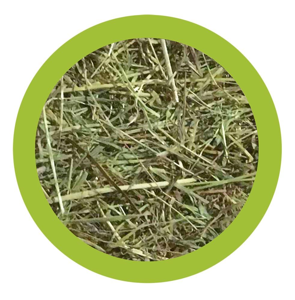 Paglianatura Kit de 6 Sacs à Foin 1300 g — Nourriture Riche en Fibres pour Lapins, cobayes et rongeurs, 100% Naturelle, favorise la Digestion et la santé des Dents