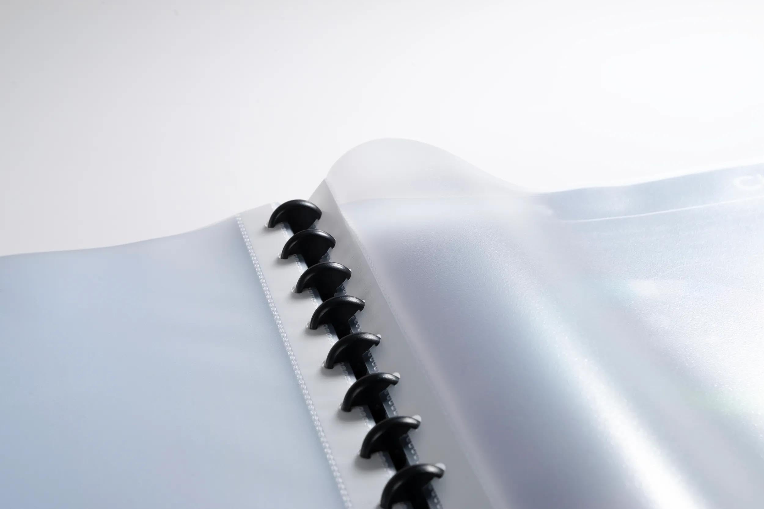 Exacompta - Rif. 86351E - Cartone da 4 portadocumenti rimovibile ad anelli con 30 buste grana staccabili, 60 viste, per A4, dim 24,5 x 31 cm, copertina rigida opaca, colore nero