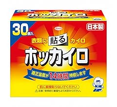 ホッカイロ 貼る レギュラー 30個入