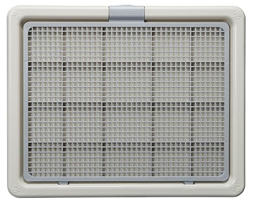 yWixerozbV^gCg[ hEhREEL ~ O  R Ch lGp N20