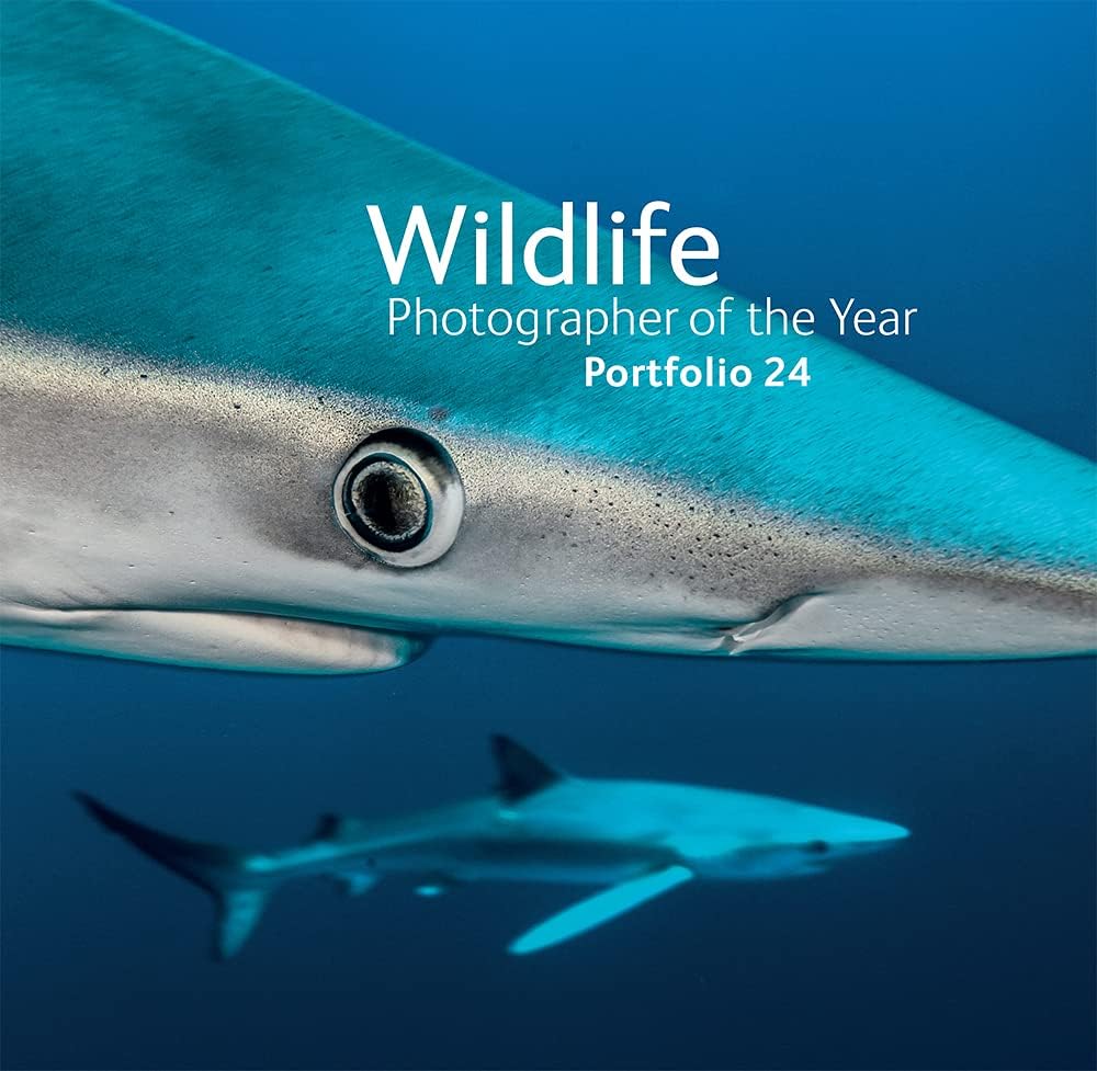 Wildlife Photographer of the Year: Portfolio 24 (24)