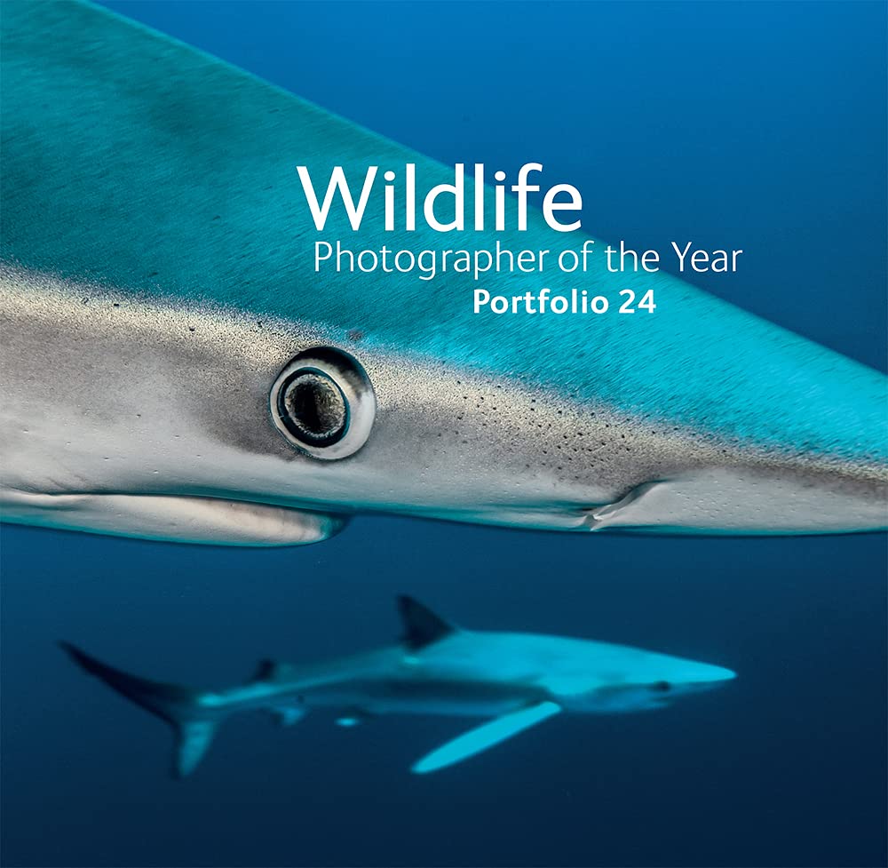 Wildlife Photographer of the Year Portfolio 24 exposition photo