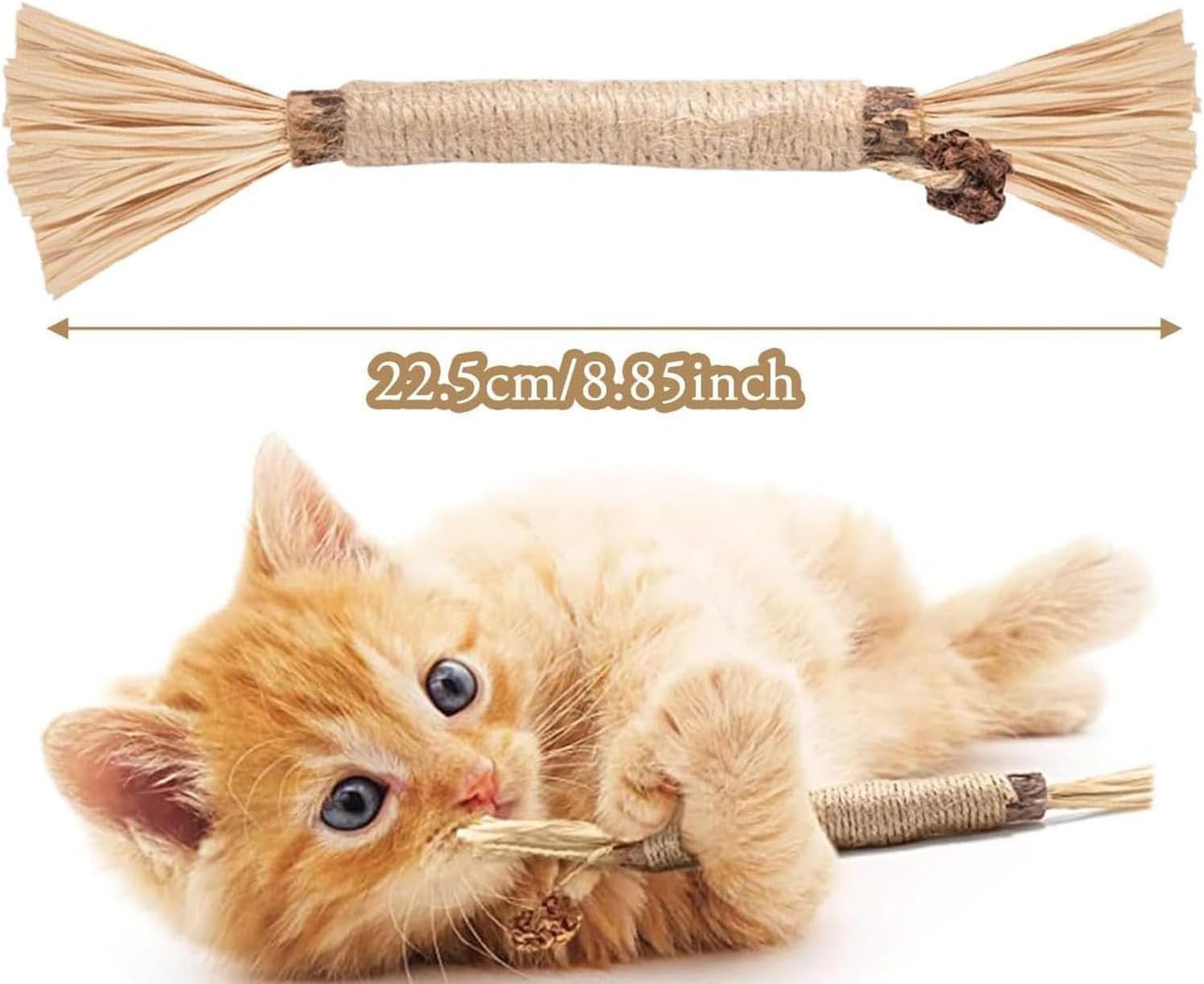 GDSAFS Natural Silvervine Dental Sticks, Silvervine Sticks für Katzen, Interaktiver Katzen-Kaustab für Zahnreinigung, kratz- und bissfest, für Indoor-Kitty-frischen Atem, gesunde Zähne (6-MixAB)