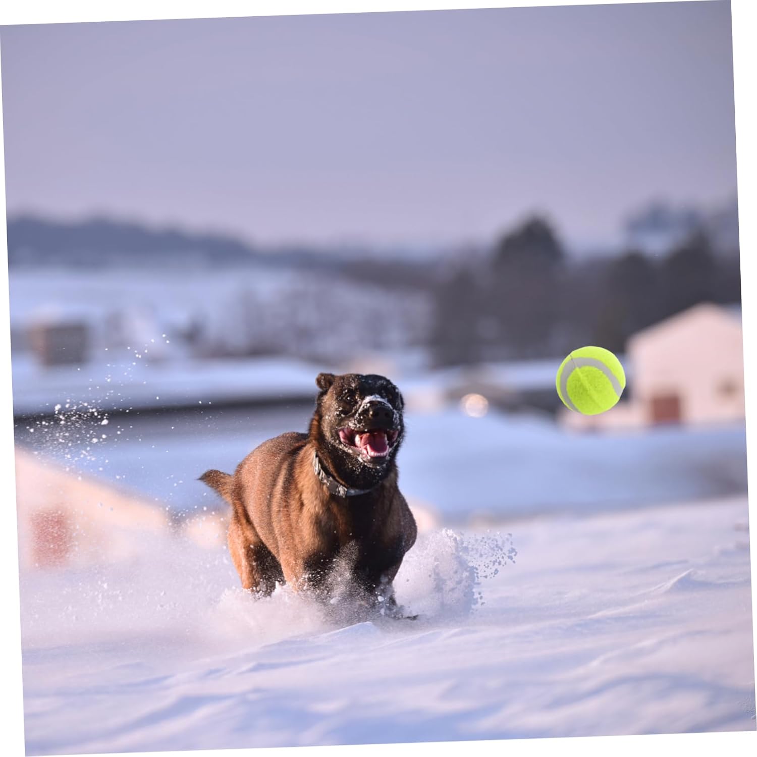 Happyyami 22pcs Dog Tennis Bouncy Pet Chew Toys for Large Medium Small Dogs Elastic Rubber for Interactive Training Play Promotes Physical Activity Engagement