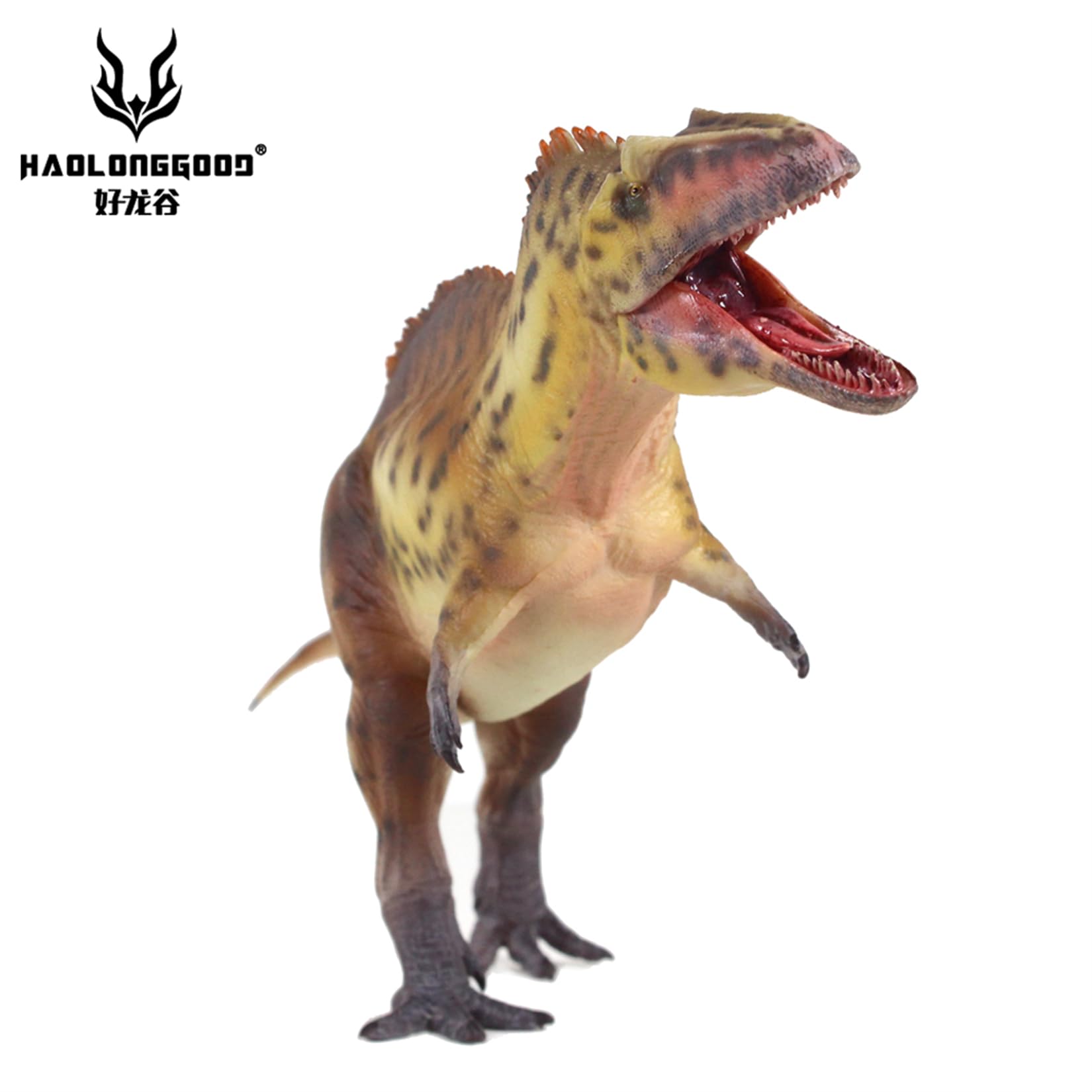 Amazon.co.jp: HAOLONGGOOD 1:35サイズ アクロカントサウルス