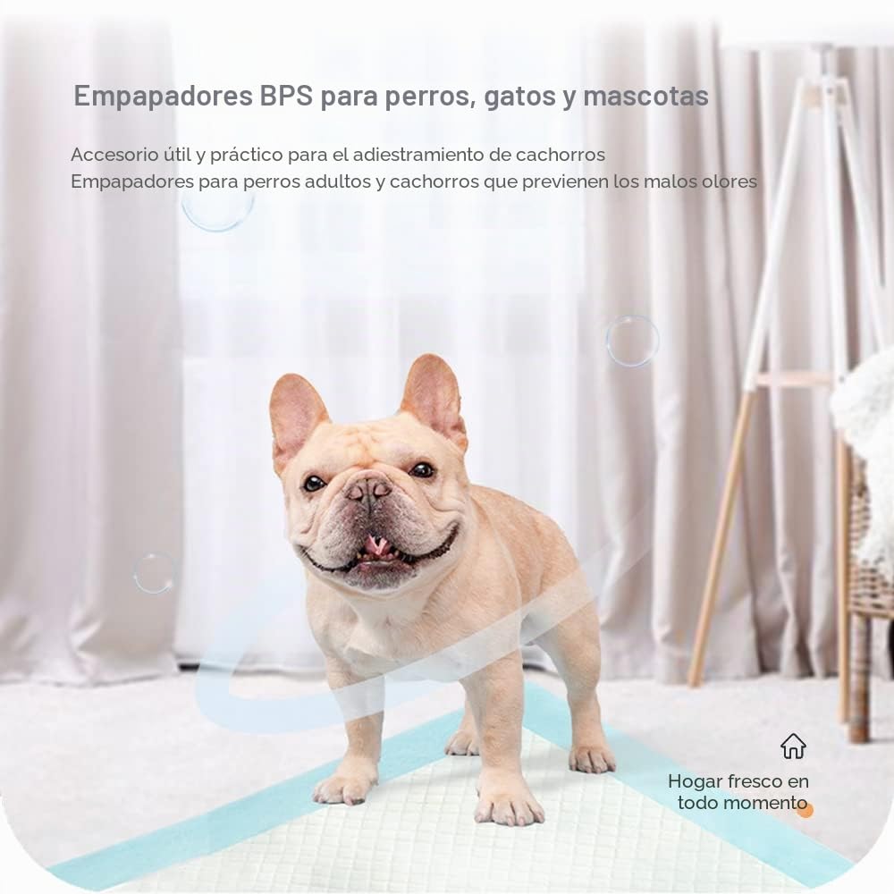 BPS Empapadores Perro de Entrenamiento para Perros Gatos Alfombrilla Toallita Higiénica (80pcs 33 * 45 cm) BPS-2189*02