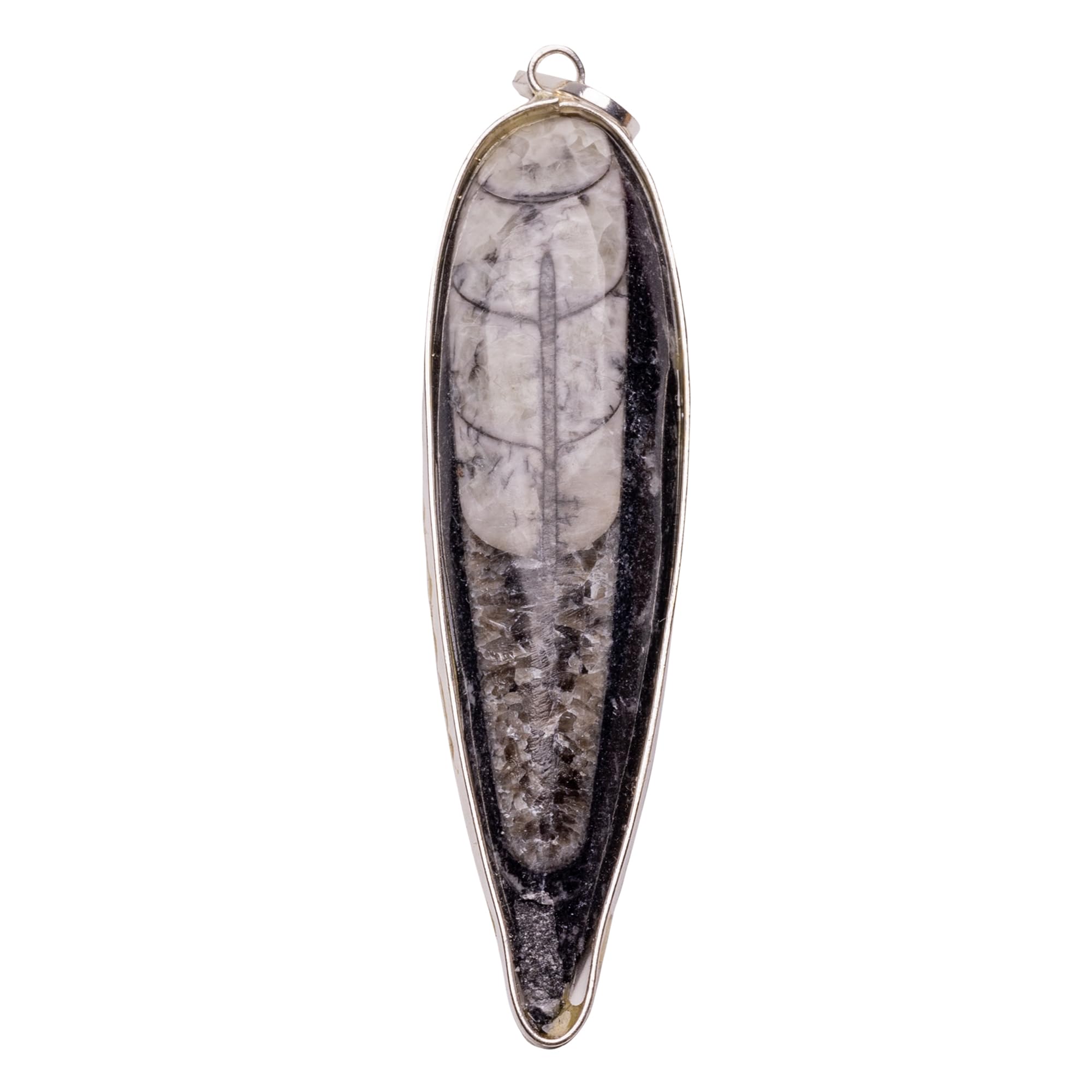 Orthoceras Fossil Kuber Stone Finance Pendant Gemstone Jewelry Locket for Men, Women, Boys, Girls