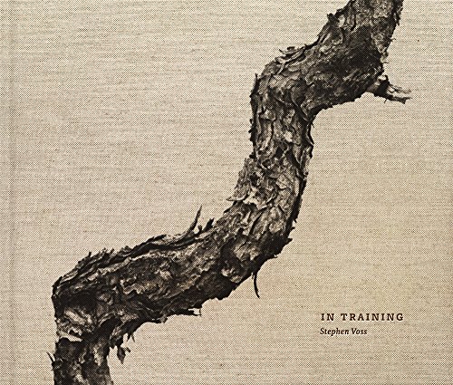 In Training, a book of bonsai photos