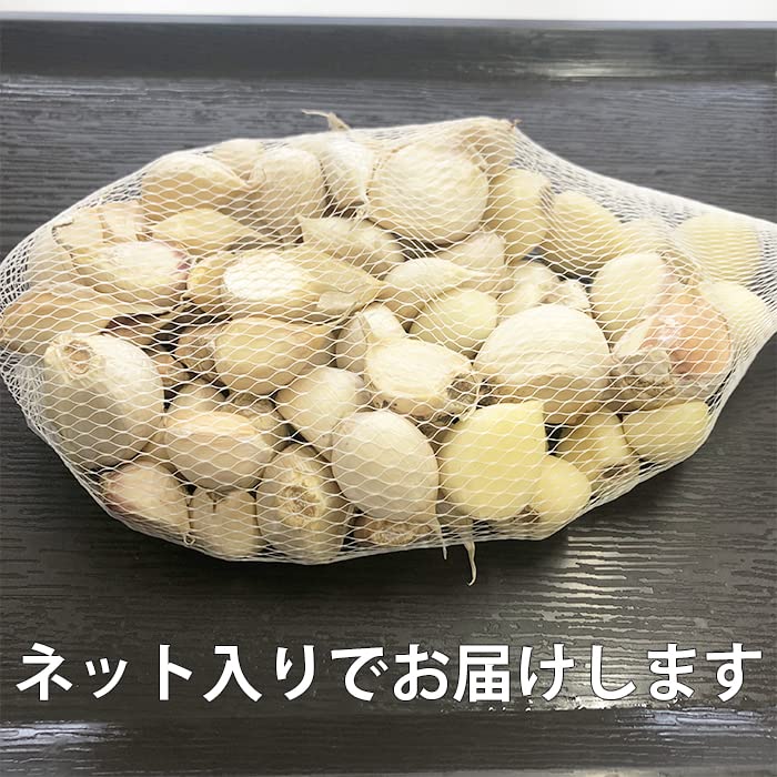Amazon.co.jp: にんにく 青森県産 訳あり バラ 500g 福地ホワイト六片