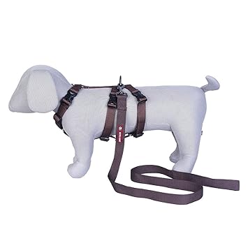 Pets Like Dog Double H Harness with Collar Clips and Leash Set Brown(Small),GE-PL8006I