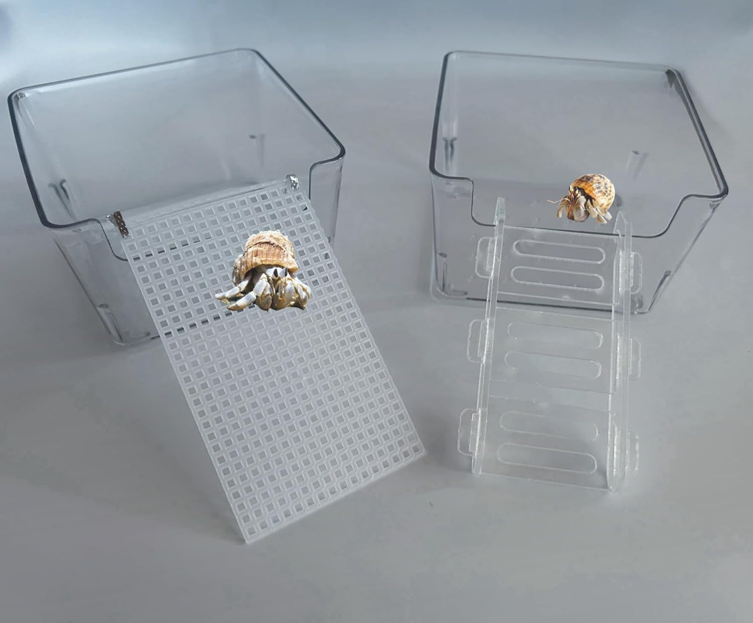 2Pack Acrylic Transparent Hermit Crab Water Tanks with