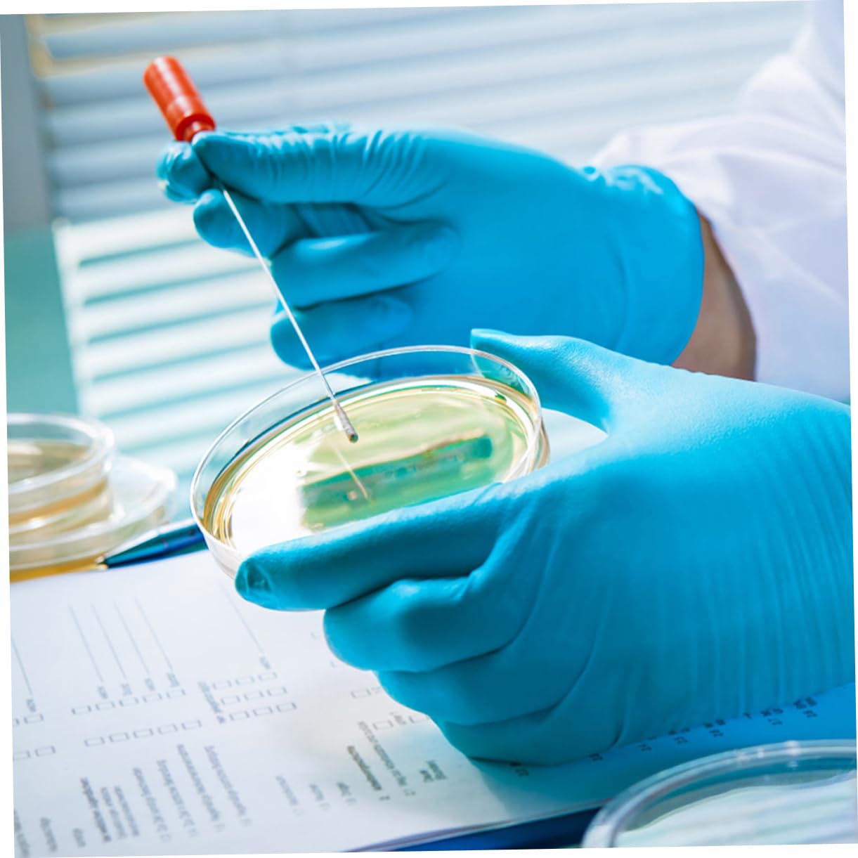 COSMEVIVI 10pcs Culture Plate Plant Petri Dish Agar Petri Dishes Culture Dishes with Lids for Science Petri Dishes with Lid Analysis Dish Petri Dish Plates Experiment Dish Lab Dishes Plastic