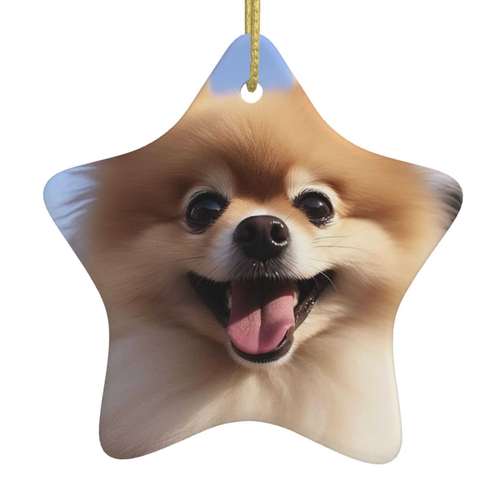 Ceramic Christmas Tree Hanging Ornaments with Gold Ropes Christmas Tree Decorations Star Ceramic Happy Pomeranian Pendant Keepsake Decorations for Holiday Xmas Gift Ideas
