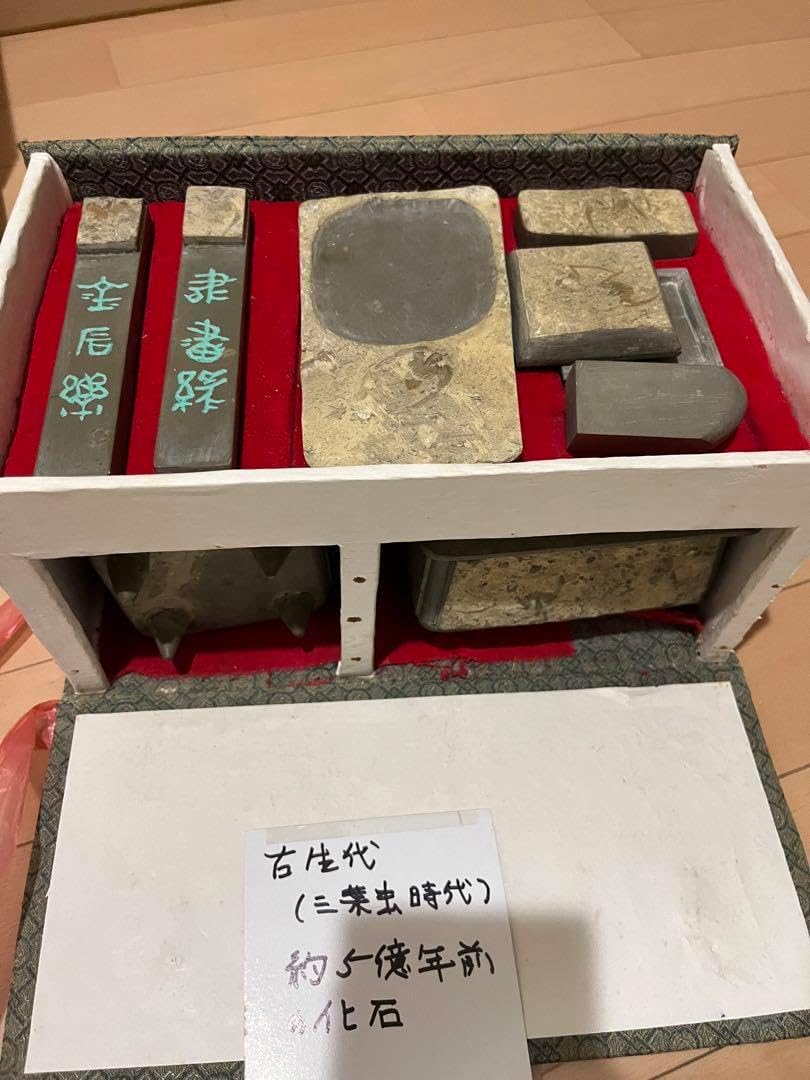 中国 古生代 三葉虫化石 書道8セット 中国 古生代 三葉虫化石 中国 古生代 三葉虫化石 書道8セット 中国 古生代 三葉虫化石