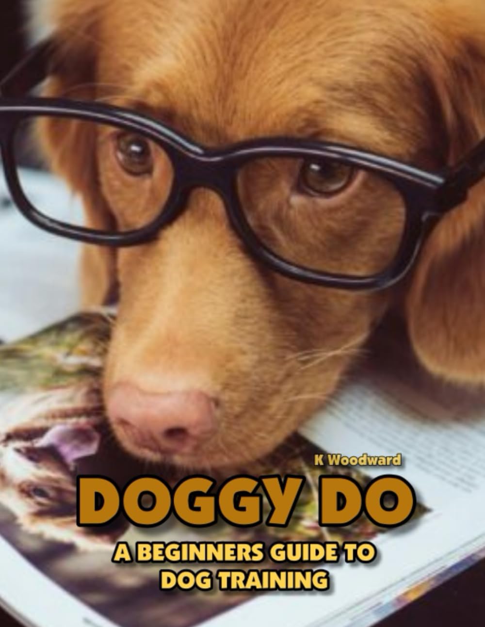 DOGGY DO: A beginners guide to dog training