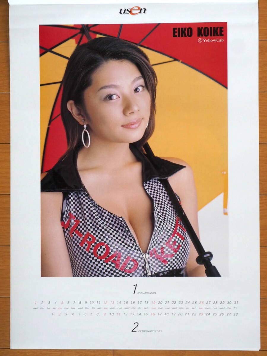 Amazon.co.jp: 2003年 小池栄子 森ひろこ 佐藤江梨子 MEGUMI 根本