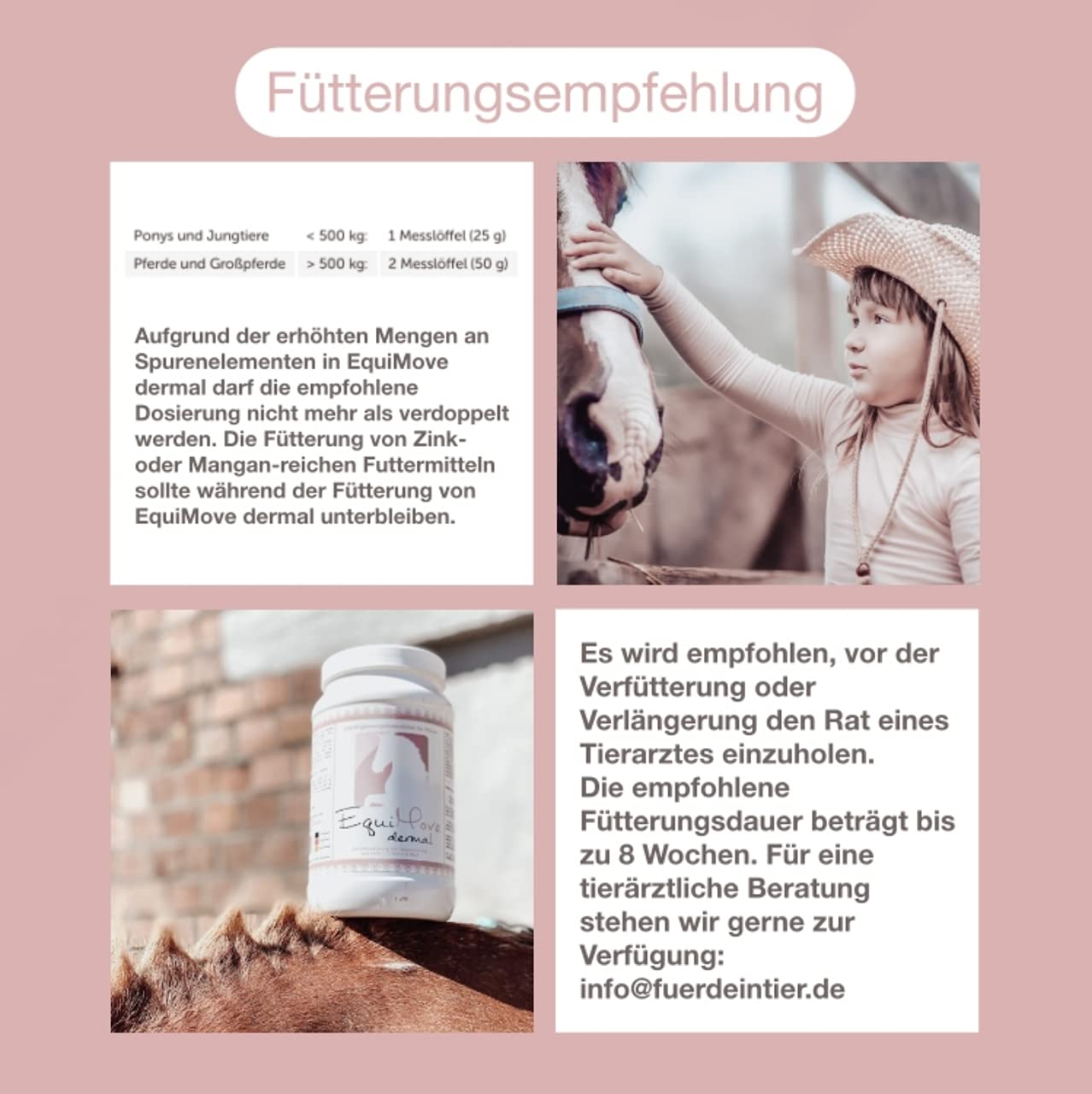 Set Bewegung, Haut und Fell aus je 1 Dose Motion und 1 Dose Dermal