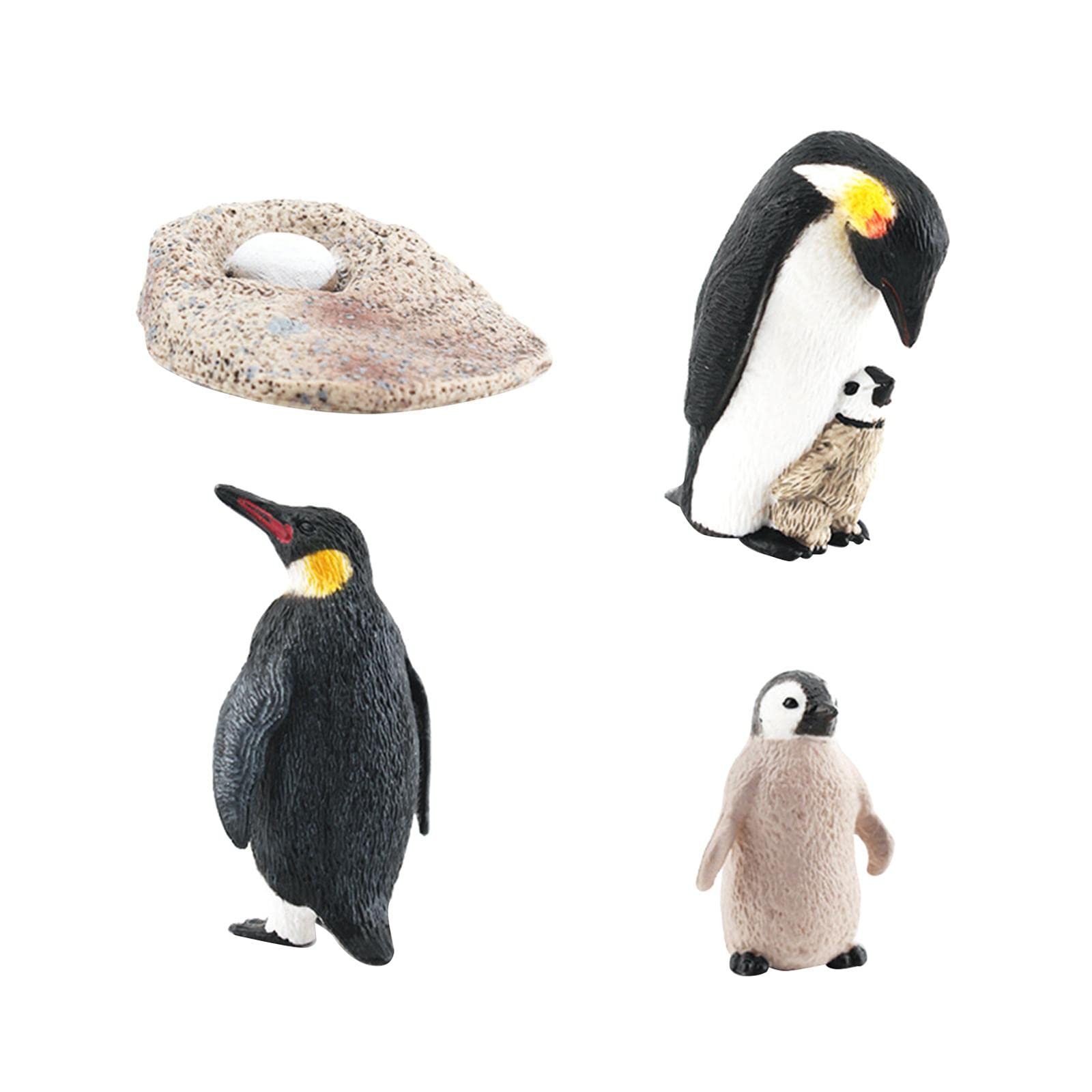 10 Set Pinguin Lebenszyklus Modell Tiere kognitives Spielset für Lehrmaterialien Stil A
