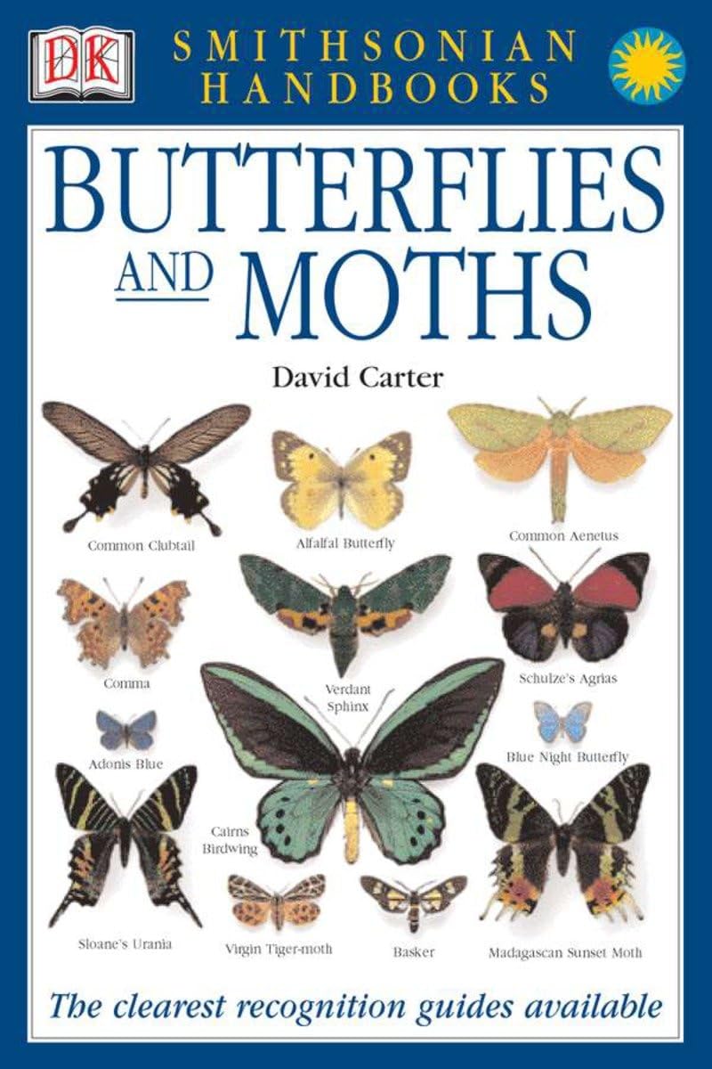 Butterflies & Moths The Clearest Recognition Guide Available (DK