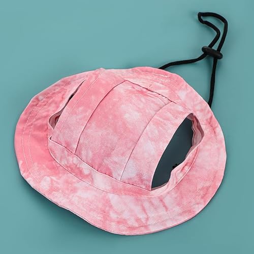 ybg̓悯XA̖XqAAEghAgx[Y̖XqAi߂̖Ȃ̓悯XAL̃t[h