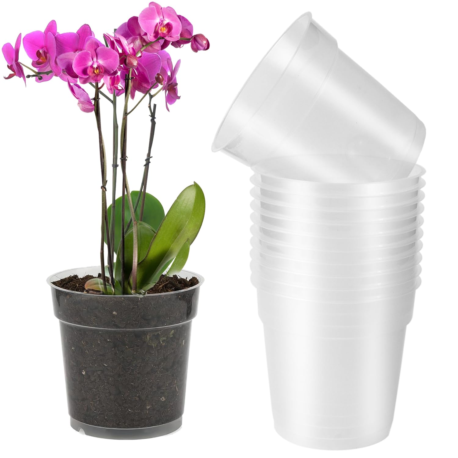 10 Vasi Trasparenti Per Orchidee 11,5 Cm Con Fori Di Drenaggio – Plastica UV-Resistente Per Idroponica