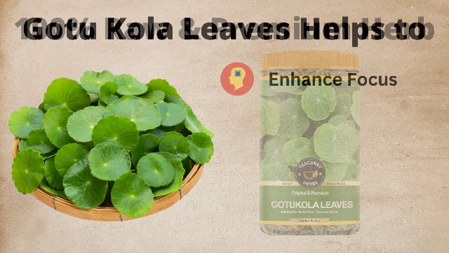 gotu kola benefits
