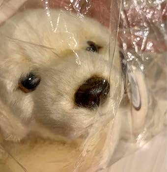ラブラドールレトリバー リアル ぬいぐるみ ソフト プレゼント 楽天市場】ラブラドールレトリバー ぬいぐるみ 犬 リアル チョコ