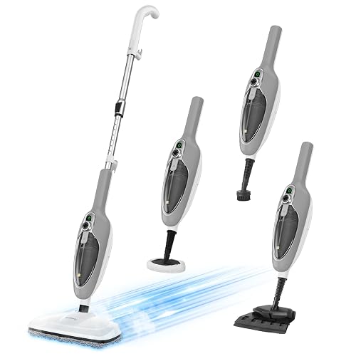 GorFanty 10-in-1 Handheld Steam Cleaner