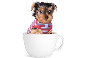 Striped Teacup Pet Dog T-Shirts: Xyxxsmall Boy's Clothing for Chihuahuas