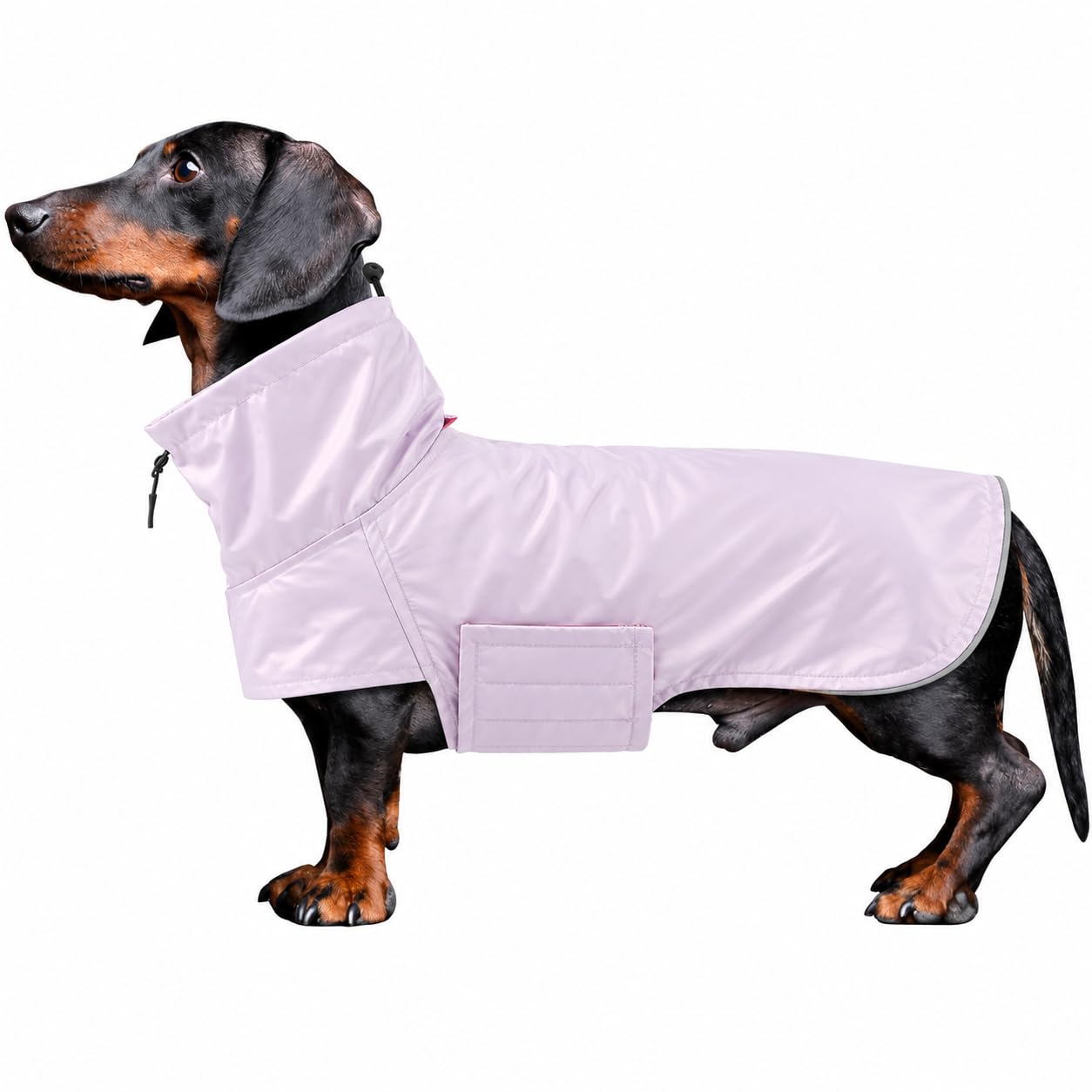 Miniature Dachshund Coats Waterproof & Windproof dog raincoat Adjustable