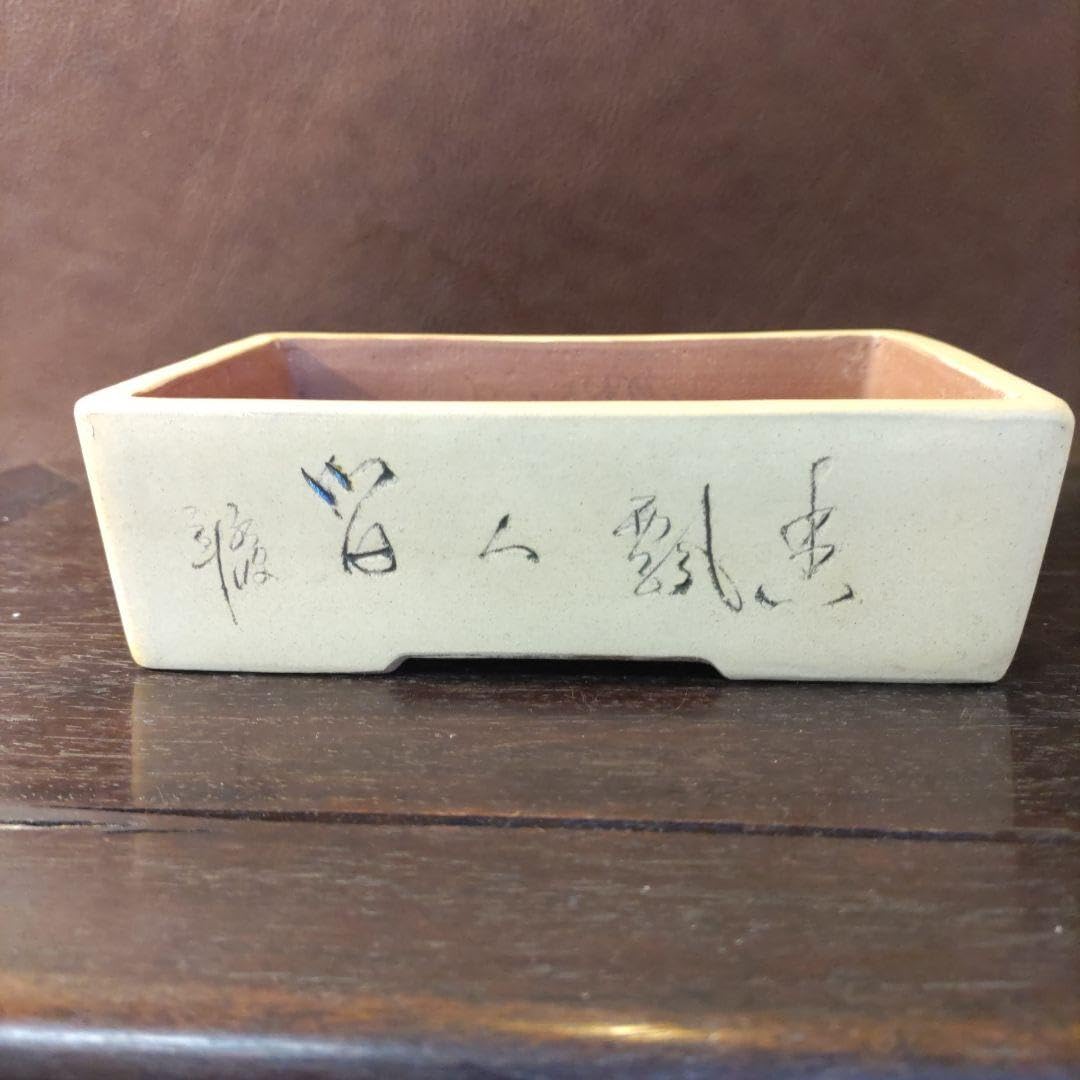 中国鉢 盆栽鉢 落款