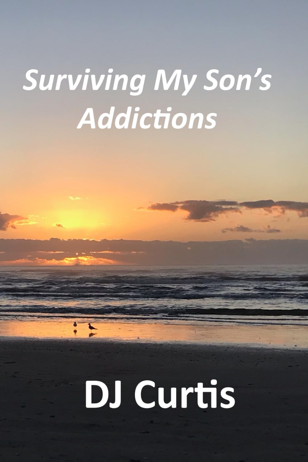 Surviving My Son's Addictions