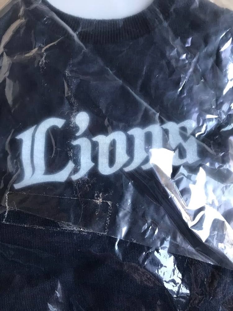 西口文也 2000奪三振 メモリアルパネル Amazon.co.jp: 埼玉西武