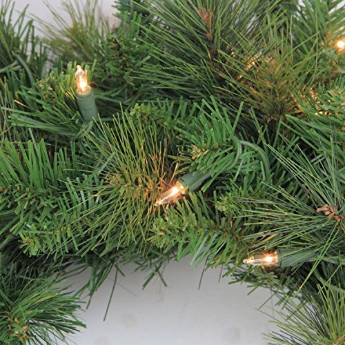 Northlight Pre-Lit Canyon Pine Artificial Christmas Wreath - 60-Inch, Clear Lights #TOP1