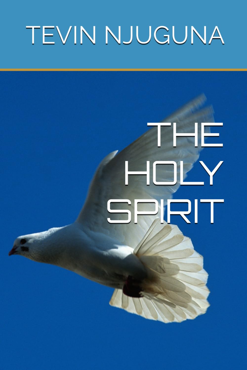 THE HOLY SPIRIT