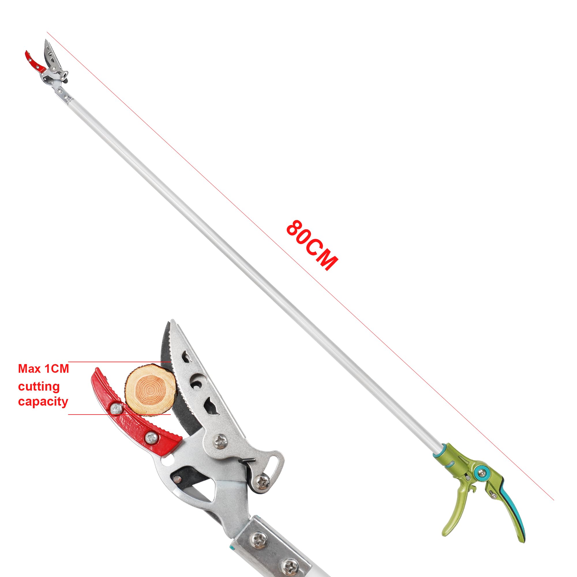 FLORA GUARD 80cm Tree Pruner, Tree loppers Long Reach - Lightweight & Strong, Ideal for Removing High Branches and Fruit Picking - Image 2