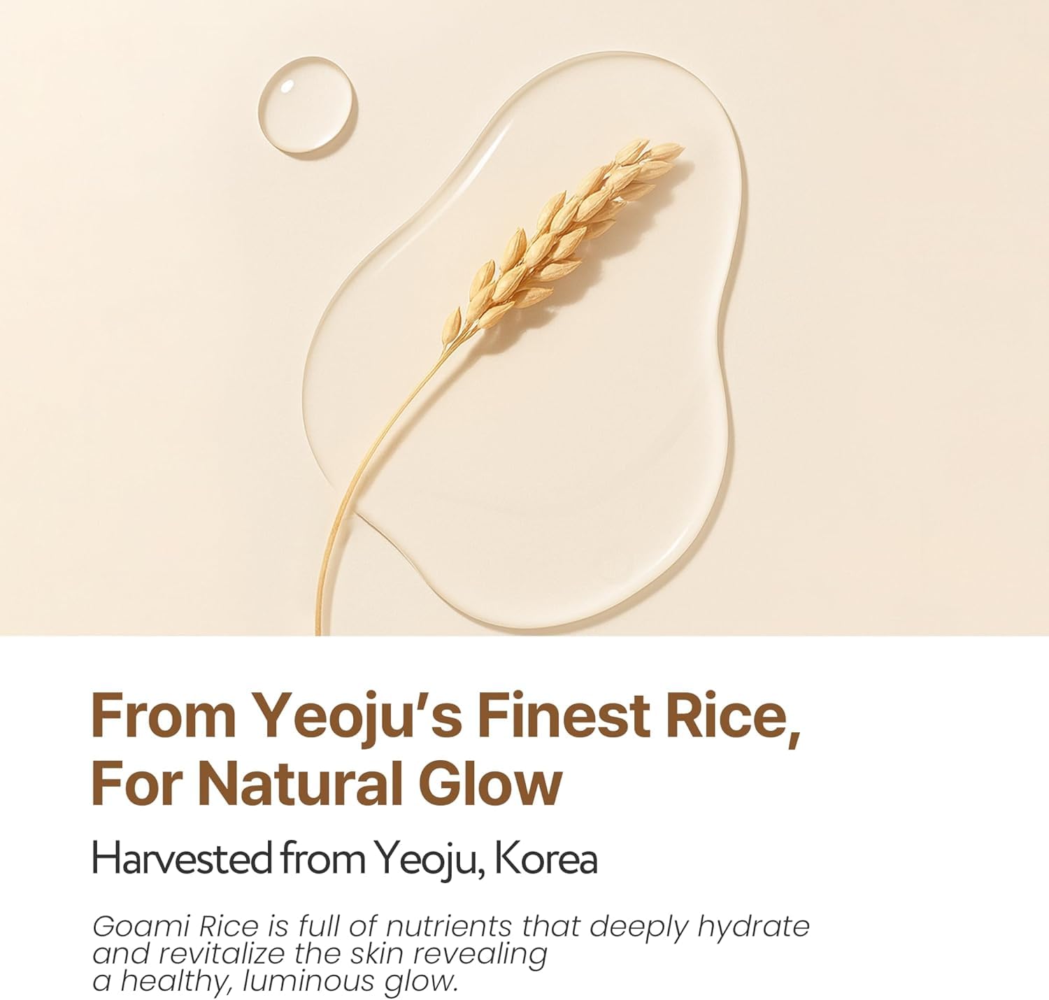 K-Beauty Glass Skin Trio - Jelly Pudding Pore Cleanser 100ml, Rice Milk Toner, Barrier Cream