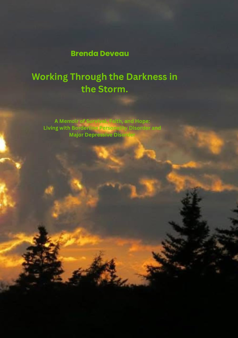 Working Through the Storm: A Memoir of Survival, Faith, and Hope: Living with Borderline Personality Disorder and Major Depressive Disorder