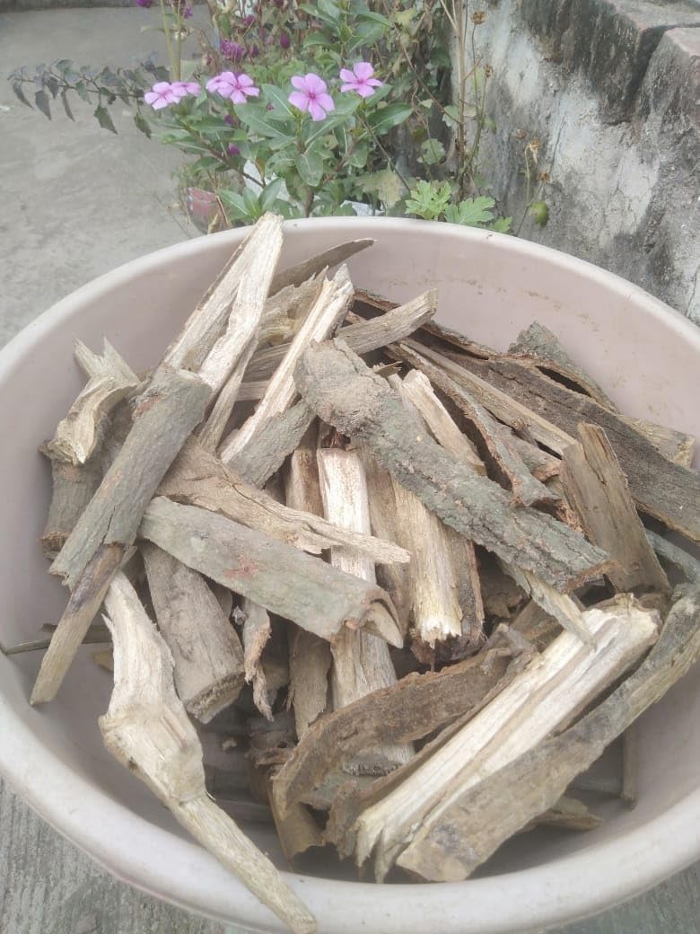 Sudh Aam ki Lakdi - Mango Sticks for Hawan Pooja -3 Sudh Aam ki Lakdi - Mango Sticks for Hawan Pooja -3