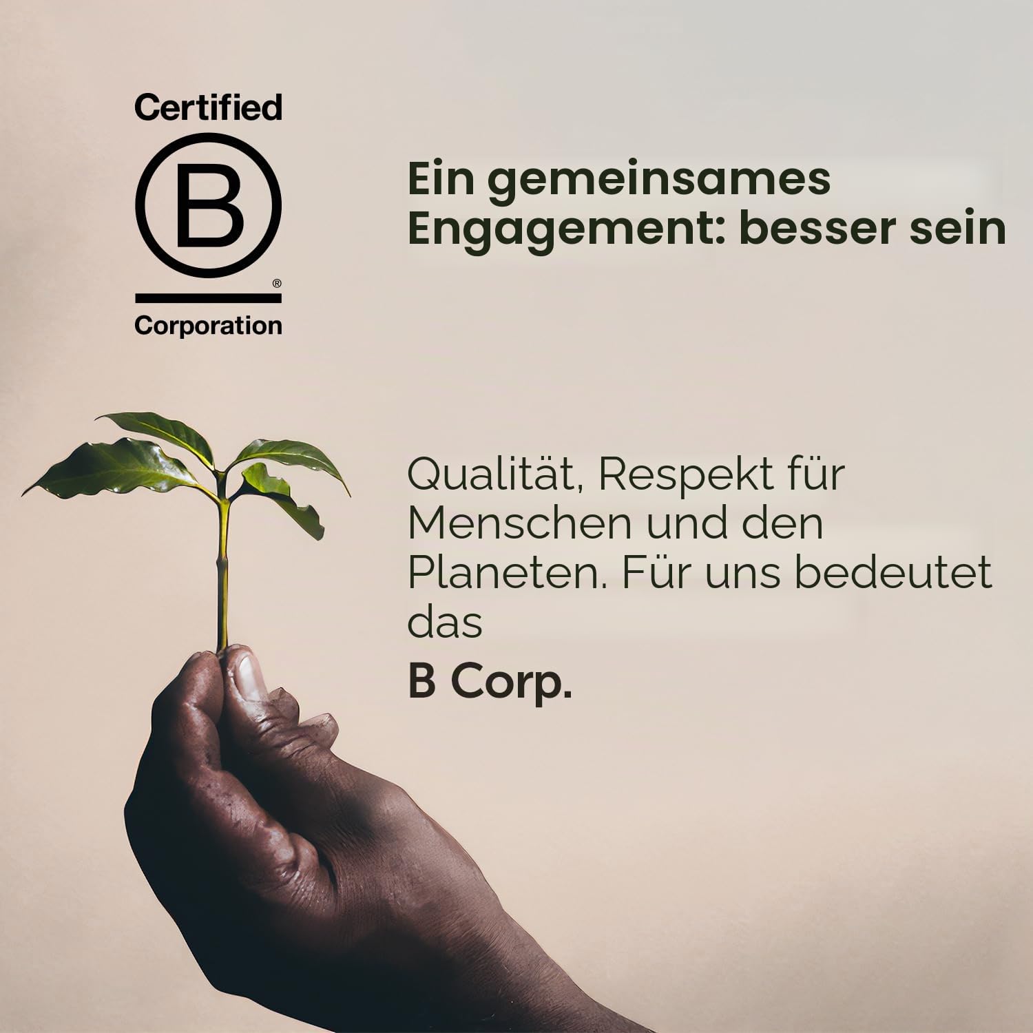illy Kaffeebohnen Luxus Arabica Kaffeebohnen Auswahl Äthiopien 6er Pack (6 x 250 g)