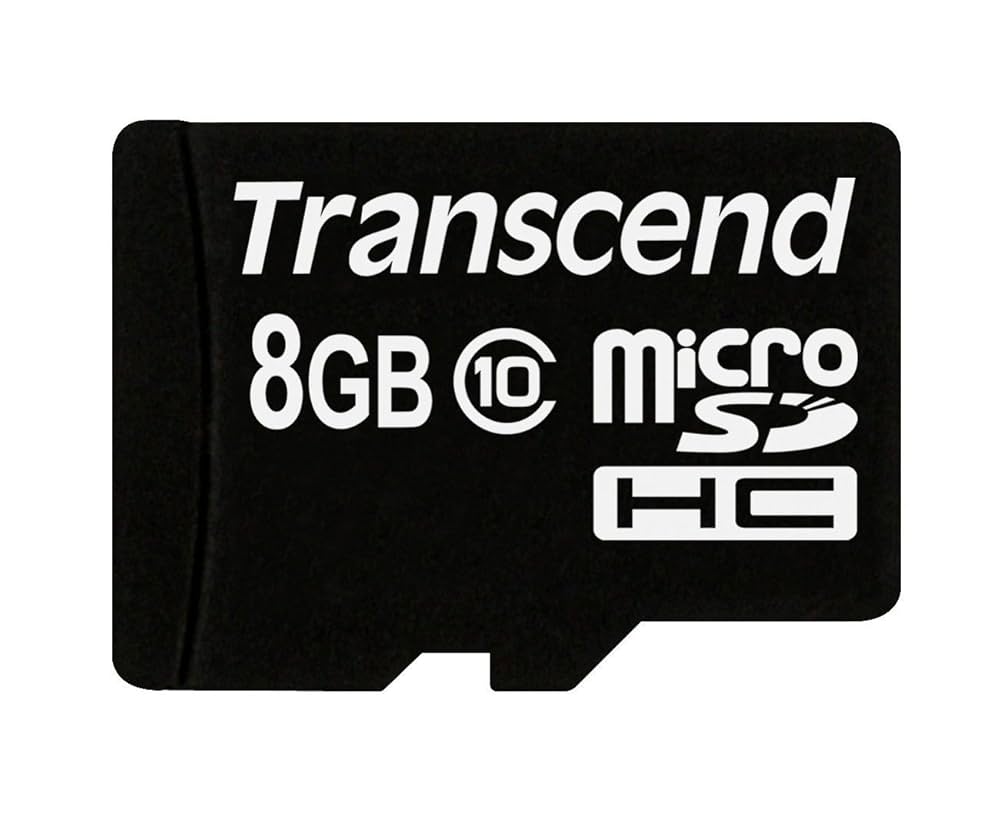 Amazon.com: Transcend 8 GB Class 10 microSDHC Flash Memory