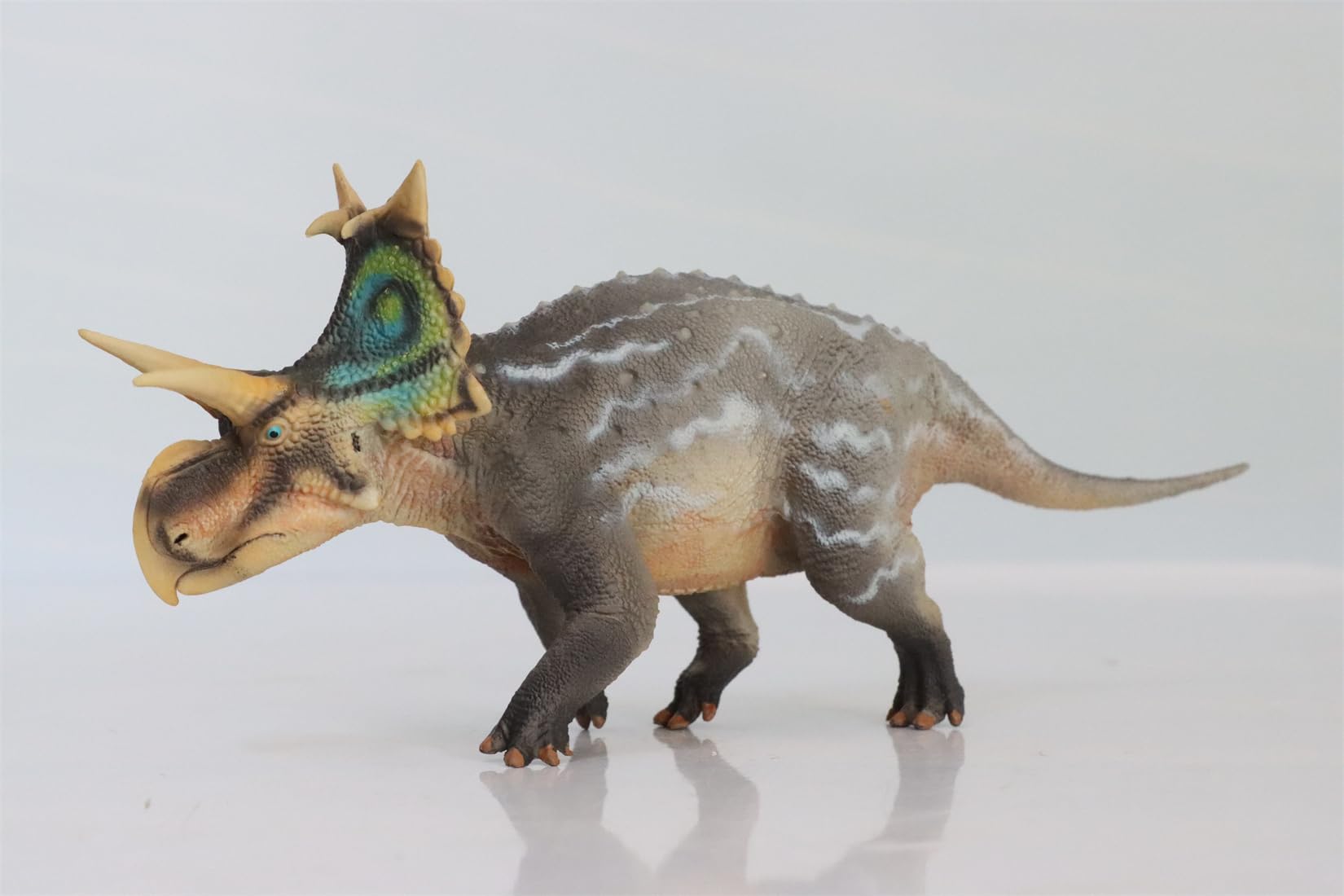 Amazon.com: WLNTDOLA HLG 1:35 Scale Xenoceratops Model Dinosaur