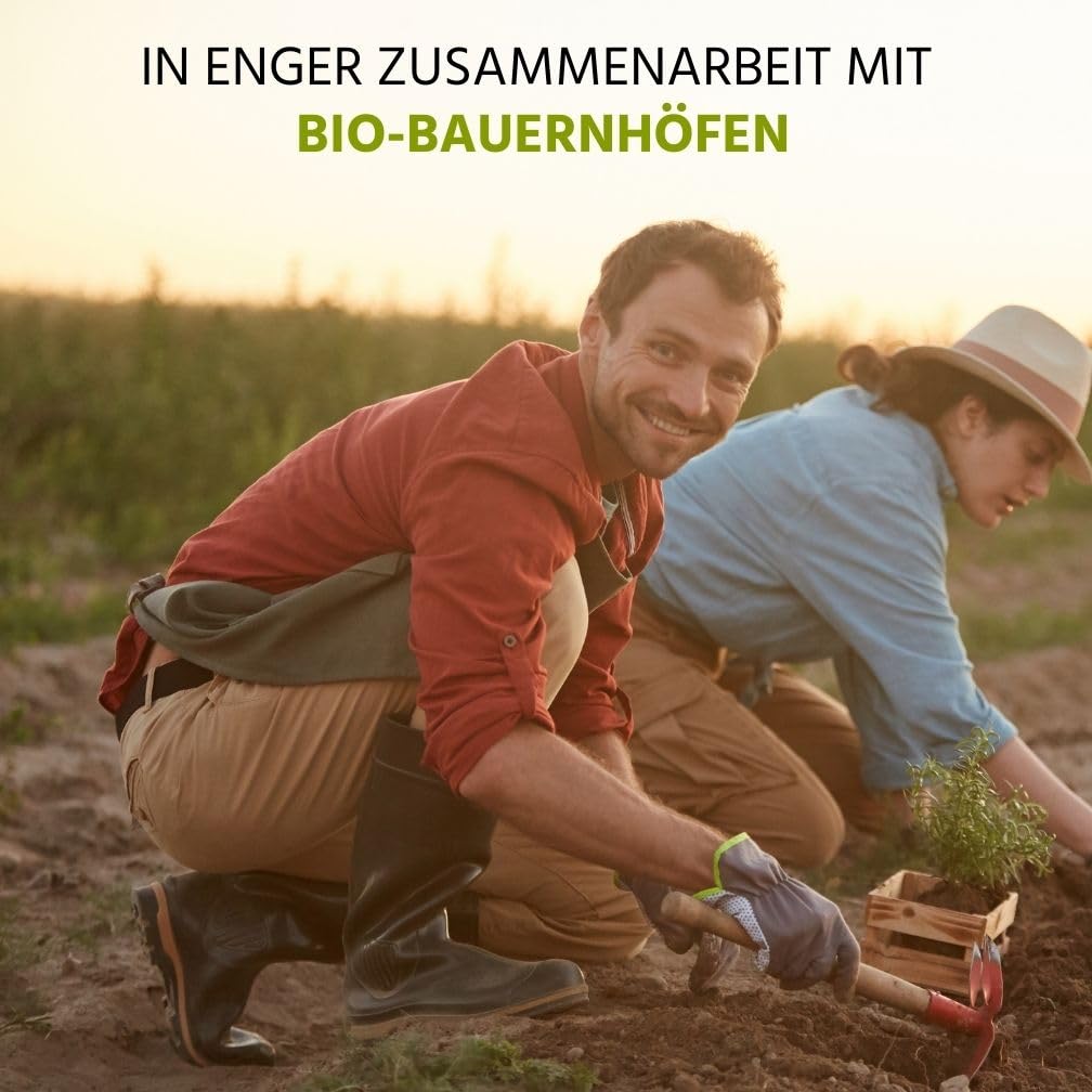 Auwald Salbei Tropfen BIO – 100% BIO Auszug, Extrakt, Tinktur – 100ml aus Österreich